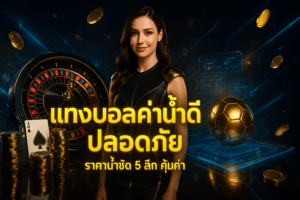 แทงบอลค่าน้ำดี ปลอดภัย